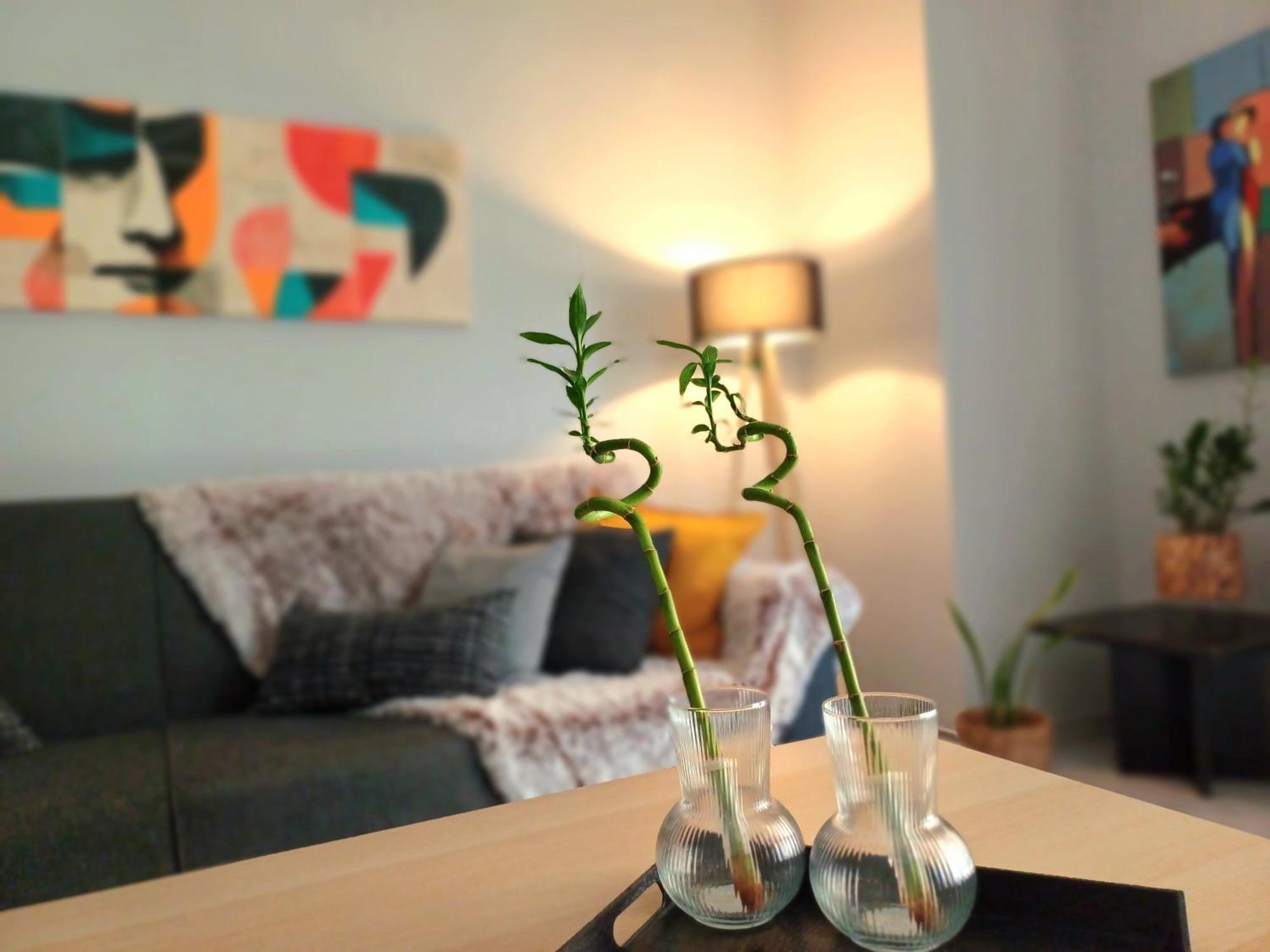 Apartment Angela's